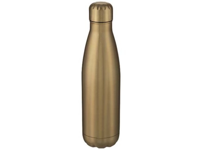 Cove vacuüm geïsoleerde roestvrijstalen fles van 500 ml