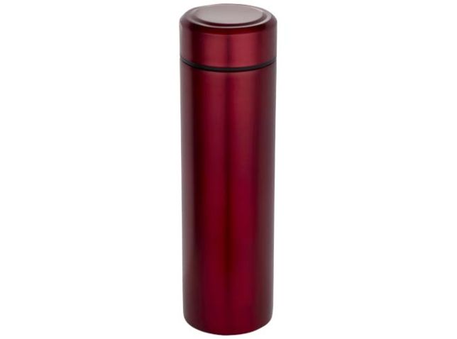 Taylor 450 ml dubbelwandige roestvrijstalen fles met theefilter