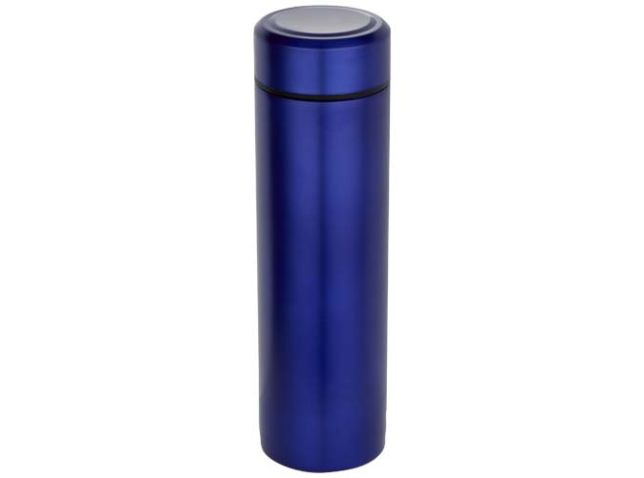 Taylor 450 ml dubbelwandige roestvrijstalen fles met theefilter