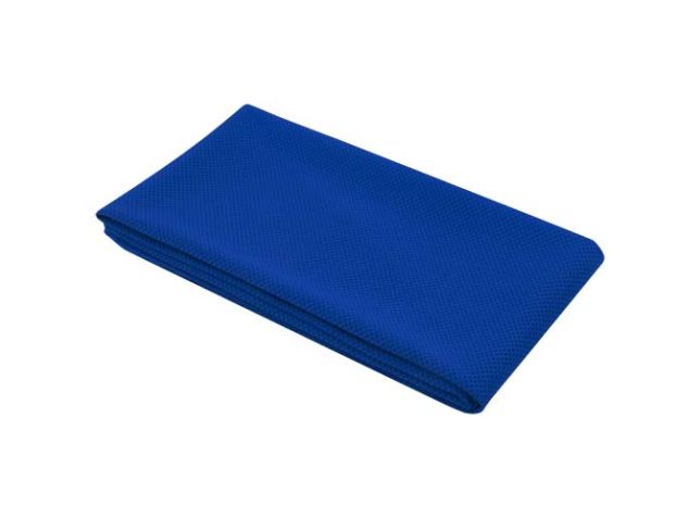 Althea sporthanddoek 50 x 100 cm